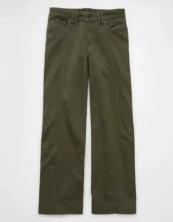 AE Dreamy Drape Stretch Low-Rise Baggy Wide-Leg Pant Olive -American Eagle Fashion 0461 5440 309 f