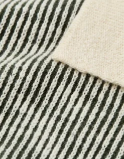 AE Weekend Striped Button-Up Sweater Polo Shirt Green -American Eagle Fashion 1148 2010 300 d1