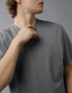 AE Lived-In T-Shirt Grey -American Eagle Fashion 1164 4155 050 d2