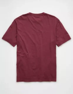 AE Logo Lived-In T-Shirt Burgundy -American Eagle Fashion 1164 4155 613 b