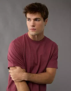 AE Logo Lived-In T-Shirt Burgundy -American Eagle Fashion 1164 4155 613 d1