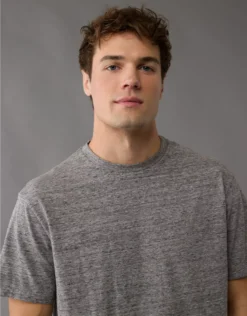 AE Logo Lived-In T-Shirt Grey