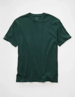 AE Lived-In T-Shirt Green Rush -American Eagle Fashion 1164 4540 318 f