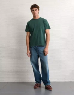 AE Lived-In T-Shirt Green Rush -American Eagle Fashion 1164 4540 318 os