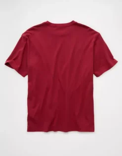 AE Lived-In T-Shirt Holiday Red -American Eagle Fashion 1164 4540 596 b