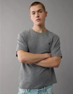 AE Lightweight Icon T-Shirt Heather Gray