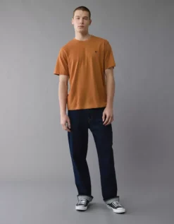 AE Lightweight Icon T-Shirt Cognac -American Eagle Fashion 1164 4821 249 os