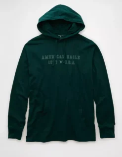 AE Lightweight Icon Logo Graphic Hoodie T-Shirt Green -American Eagle Fashion 1175 4674 300 f