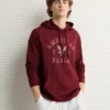 AE Lightweight Icon Logo Graphic Hoodie T-Shirt Wine