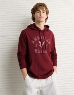 AE Lightweight Icon Logo Graphic Hoodie T-Shirt Wine