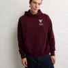 AE Lightweight Graphic Hoodie Wineberry
