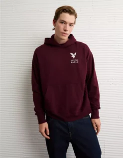 AE Lightweight Graphic Hoodie Wineberry