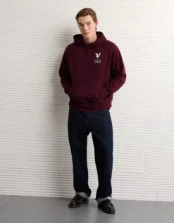 AE Lightweight Graphic Hoodie Wineberry -American Eagle Fashion 1192 2651 902 os