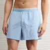 AEO Men's Ultra Soft Pocket Boxer Short Ice Blue