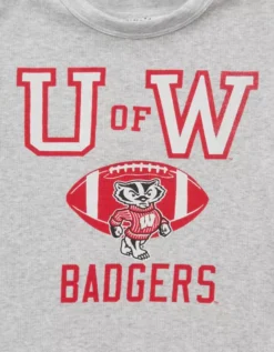 AE Wisconsin Badgers Graphic Cropped Baby Tee Gray Heather -American Eagle Fashion 1301 1226 069 d1