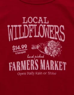 AE Food Graphic Hey Baby Tee Berry -American Eagle Fashion 1305 1143 669 d1