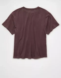 AE Ex-Boyfriend Destination Graphic T-Shirt Brown -American Eagle Fashion 1305 1461 200 b