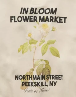 AE Relaxed Fit Destination Graphic Sweatshirt Cream -American Eagle Fashion 1457 2873 106 d1