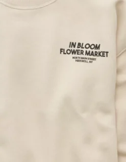 AE Relaxed Fit Destination Graphic Sweatshirt Cream -American Eagle Fashion 1457 2873 106 d3