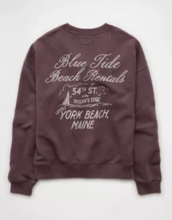 AE Relaxed Fit Destination Graphic Sweatshirt Brown -American Eagle Fashion 1457 2873 200 b