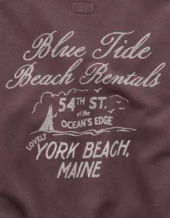 AE Relaxed Fit Destination Graphic Sweatshirt Brown -American Eagle Fashion 1457 2873 200 d1