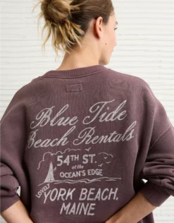 AE Relaxed Fit Destination Graphic Sweatshirt Brown