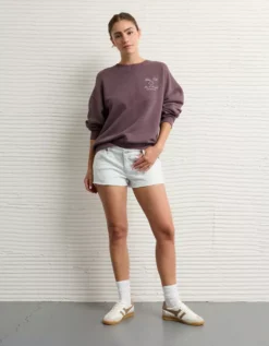 AE Relaxed Fit Destination Graphic Sweatshirt Brown -American Eagle Fashion 1457 2873 200 os