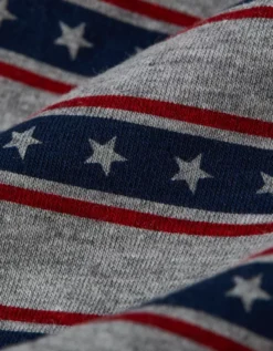 AEO Men's USA 4.5" Classic Boxer Brief Grey -American Eagle Fashion 3234 0035 050 d1