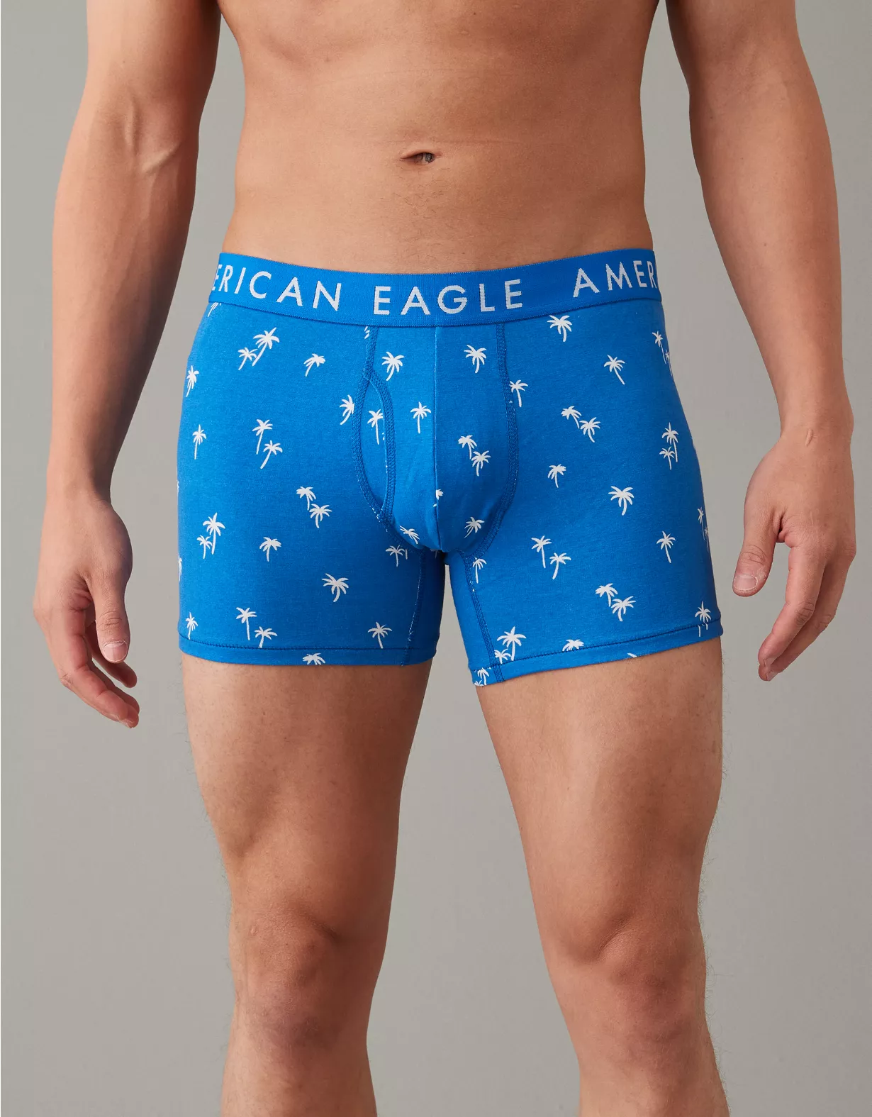 AEO Palm Trees 4.5" Classic Boxer Brief 1 AEO Palm Trees 4.5" Classic Boxer Brief