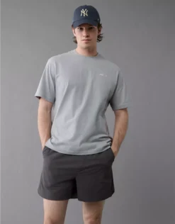 AE 24/7 6" Flex Hybrid Short Gray